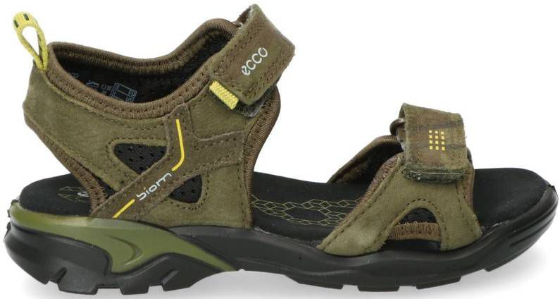 Ara Florenz St Highsoft