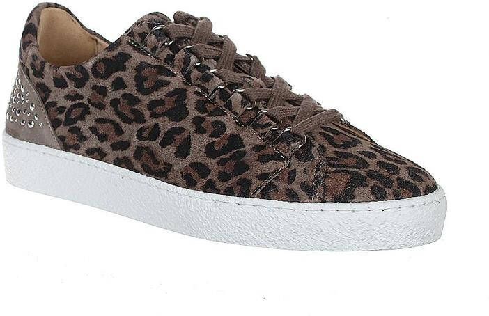 AQA Shoes A6421