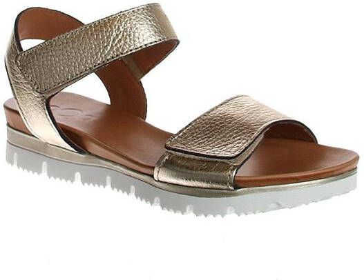 AQA Shoes A7775