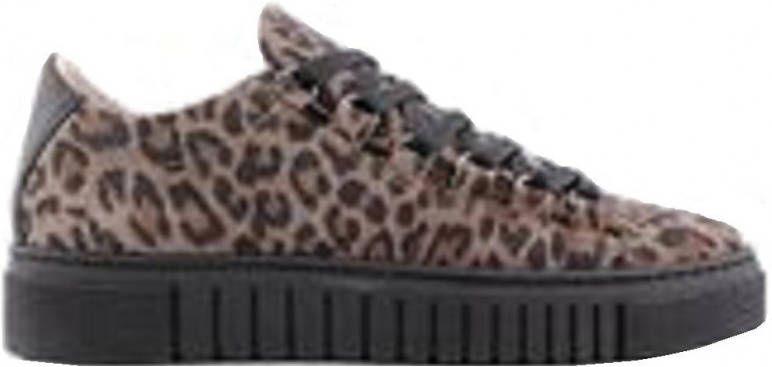 Aqa comfort veterschoen