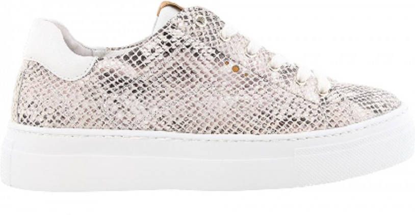 Aqa Sneaker printleer