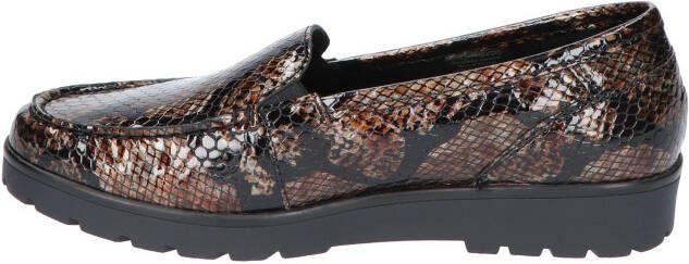 Ara 1214803 86 bruin