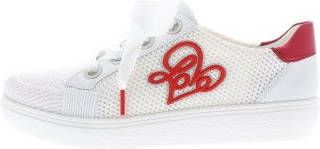 Ara New york fusion 4h