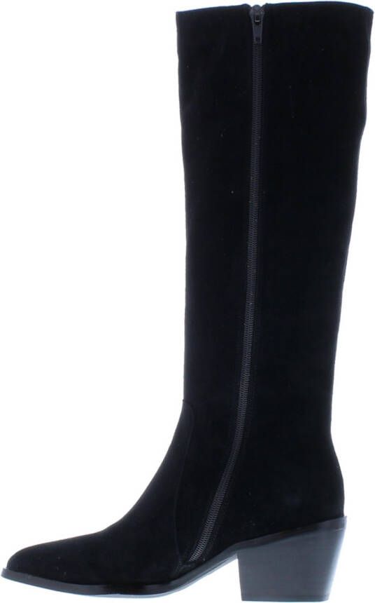 Di Lauro Laars 105976