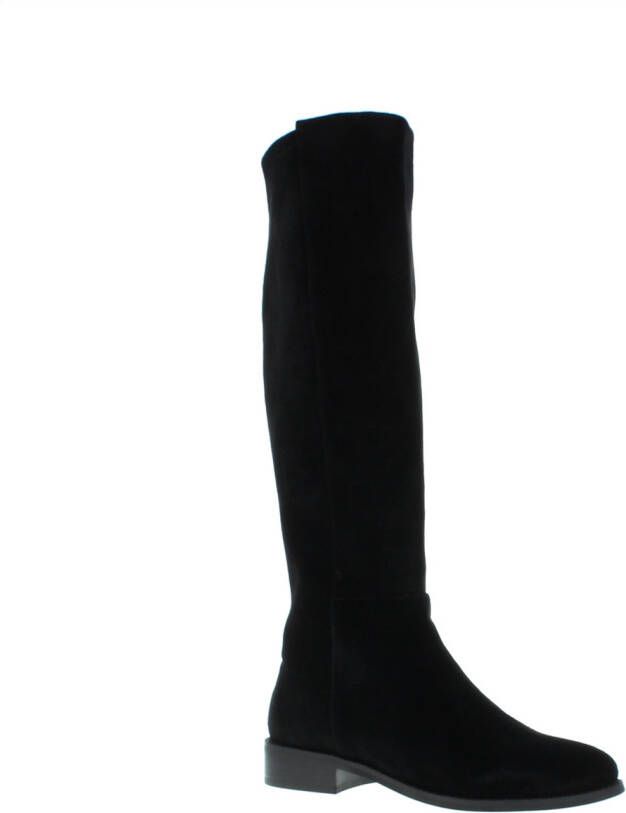 Di Lauro Plat 102728