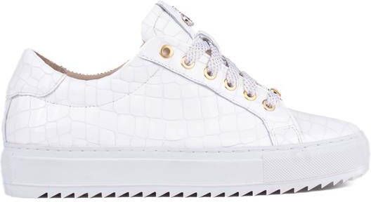 Footnotes 22.001 wijdte k