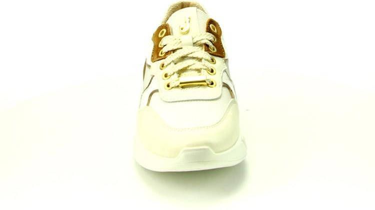 Footnotes 61.003 wijdte h