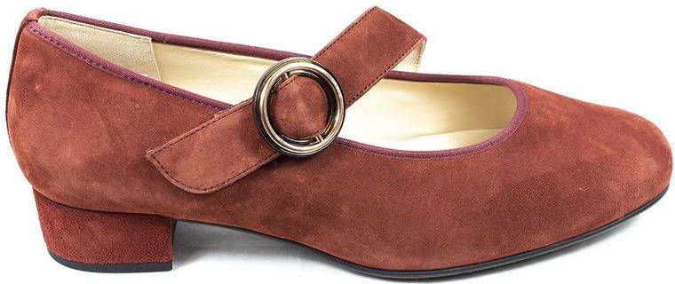 HASSIA 0 302458 wijdte k