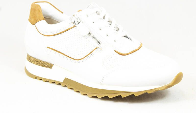 HASSIA 1 301816 wijdte h