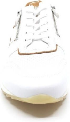 HASSIA 1 301916 wijdte h