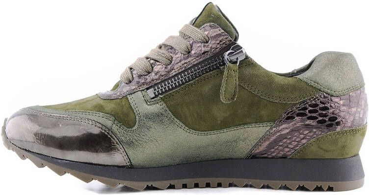 HASSIA 6 301915 wijdte h