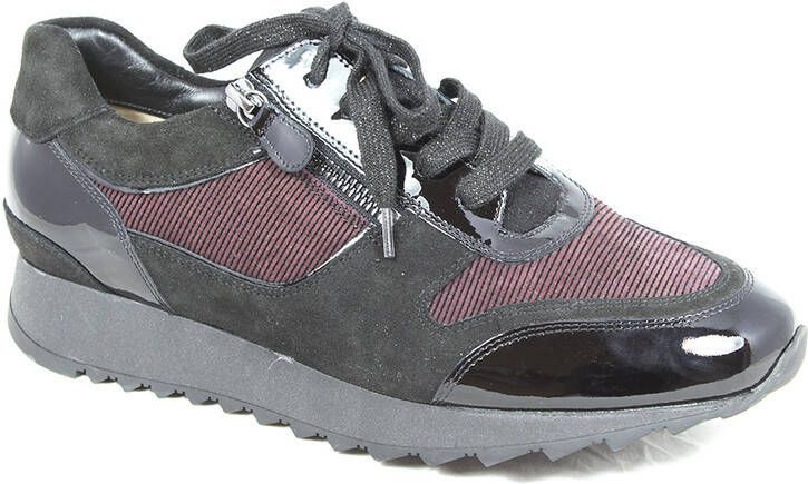 HASSIA 8 301822 wijdte k