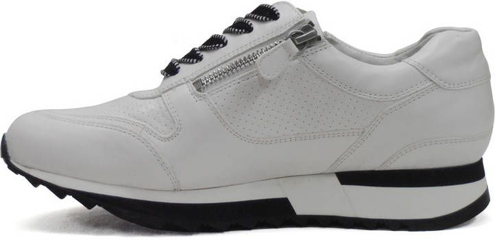 HASSIA 9 301821 wijdte k