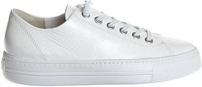 Paul Green 4081