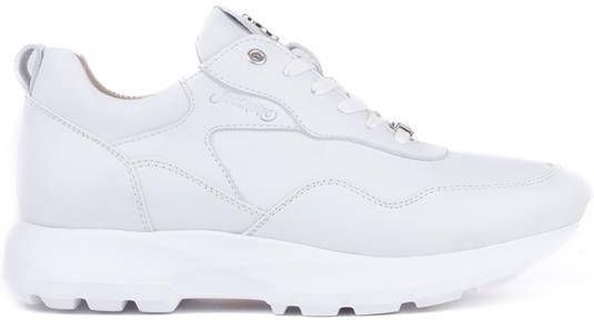 Footnotes 91.001 wijdte H
